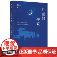 片刻的诗意 9787559876812 广西师范大学出版社 杨锋 2025-01