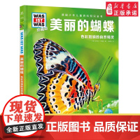 美丽的蝴蝶 德国少年儿童百科知识全书什么是什么珍藏版精装儿童科普百科全书自然科学历史7岁+中小学生儿童课外阅读书