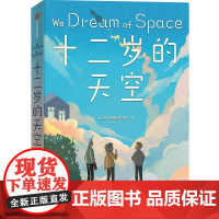 十二岁的天空