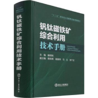 音像钒钛磁铁矿综合利用技术手册杨绍利主编