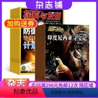 [正版]探索地理加探索与发现 组合杂志 杂志铺订阅2024年9月起订 全年订阅 少儿科普 地理探索求知 地理知识科普