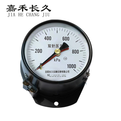 嘉禾长久/轴向双针压力表/YYS-JY-100Z 24V带灯/个