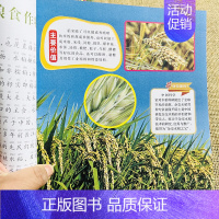 植物世界 [正版]少儿科普类书籍注音版植物世界儿童百科全书彩图植物科学知识问答小学生3-12岁少年儿童自然科学启蒙绘本认