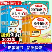 语文 小学一年级 [正版]新版暑假衔接一升二升三升四升五升六语文数学英语人教版小学暑期衔接复习预习二年级暑假作业一年级下