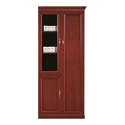 中豫鑫泽 ZYXZ4052424木质文件柜油漆贴木皮资料柜书柜 二门