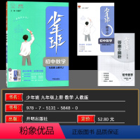 数学 九年级上 [正版]2024秋少年班九年级数学人教版上册培优同步课时练 一课一练提升拓展综合练习册 初三数学中考总复