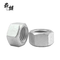 蔚期 GB6170达克罗六角螺母 M10 个