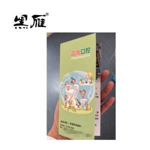 黑雁 资料 书册 单页 折页 HY-003 张