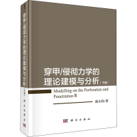 音像穿甲/侵彻力学的理论建模与分析(下册)陈小伟