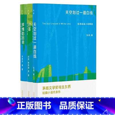 [正版] 全三册 多维的回响:东西作品评论集+回答:东西访谈录+天空划过一道白线 广西师范大学出版社L