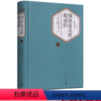 钢铁是怎样炼成的 [正版] 钢铁是怎样炼成的 精装 (苏)尼·奥斯特洛夫斯基 著 梅益 译 人民文学出版社 名著名译丛书