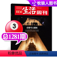 [正版]看懂考古遗址三联生活周刊杂志2024年3月25日第12期总第1281期 非2023年过刊 单本