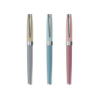 毕加索钢笔套装哑光烤漆握感舒适莫兰迪系列PS-717(颜色随机)