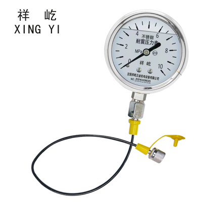 祥屹 不锈钢耐震压力表(含测试软管) YN60BF 块