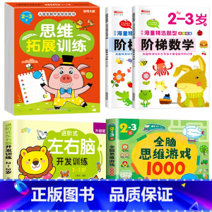 热卖5册[2-3岁]左右脑+阶梯数学+全脑思维+全脑游戏 [正版]儿童左右脑开发逻辑思维训练书 2–3一4-5-6两三四