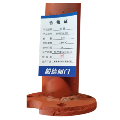 般德 泵管 DN65*3米 台