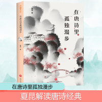 音像在唐诗里孤独漫步夏昆