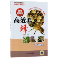 音像高效养蜂(视频升级版)/高效养殖致富直通车编者:张中印
