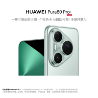 HUAWEI Pura 80 Pro+ 16GB+512GB 釉青 一英寸高动态主摄 个性色卡AI辅助构图 华为鸿蒙智能手机