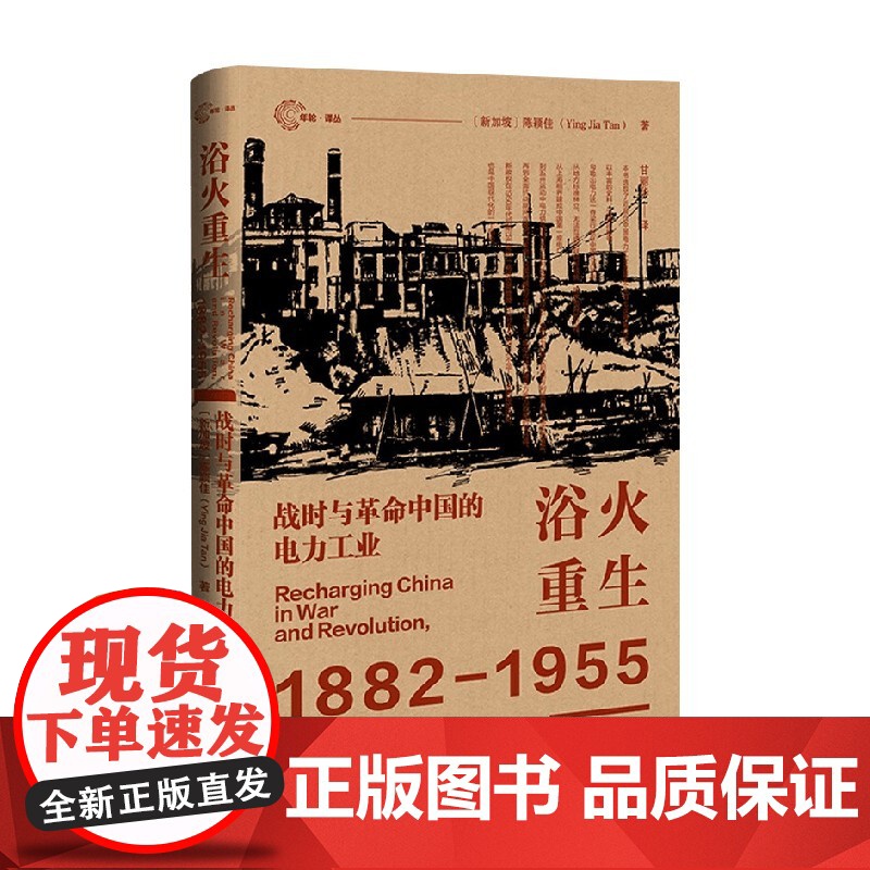 浴火重生 战时与革命中国的电力工业 陈颖佳 著 历史