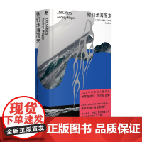 他们涉海而来 北贝 野望(爱尔兰)奥德丽·马吉/著 爱尔兰 夏天 海 岛 布克奖 思念 家乡 少年 广西师范大学出版社