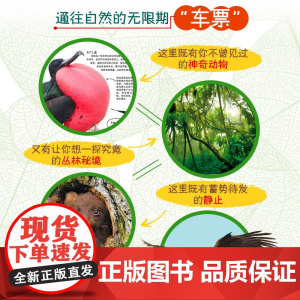 DK儿童自然百科 探索 探秘 2册 6岁以上 杰米·安布罗斯等 著 科普百科