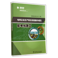 音像配电线路工(电网企业生产岗位技能操作规范)张峻