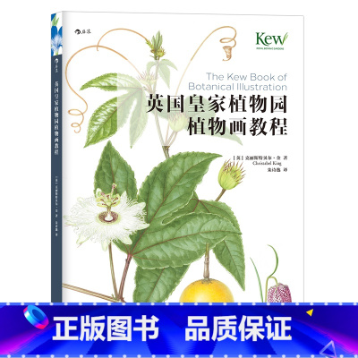 [正版] 英国皇家植物园植物画教程 水彩画技巧书籍