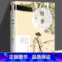 暗香(修订版) [正版] 丁立梅散文作品集全套书籍 丁立梅十年散文集 暗香暖爱遇见 风会记得一朵花香向着美好奔跑等等待绽