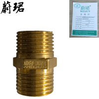 蔚珺铜对丝4分DN15mm个