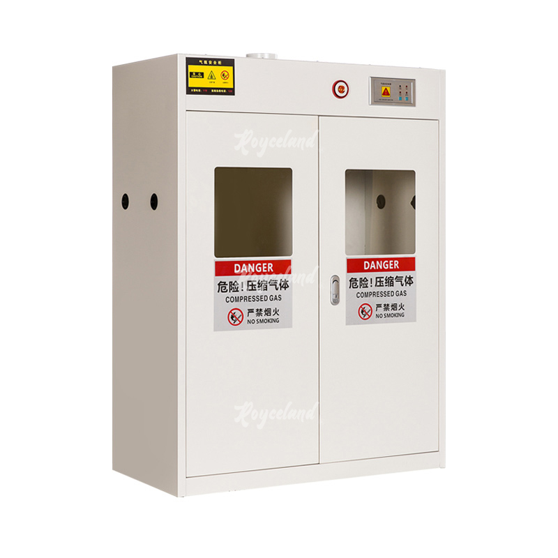 洛诗莲 LSL4041373气瓶柜煤气罐储存柜 双瓶二代报警