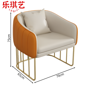 乐琪艺