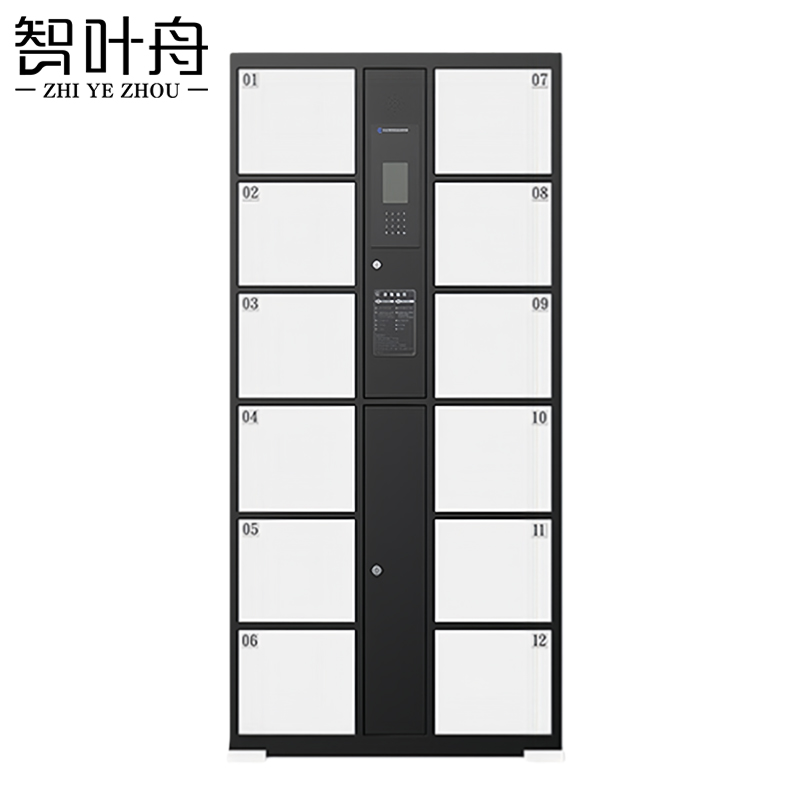 智叶舟智能储物柜人脸识别12门850*460*1800mm台