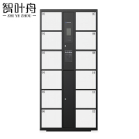 智叶舟智能储物柜人脸识别12门850*460*1800mm台