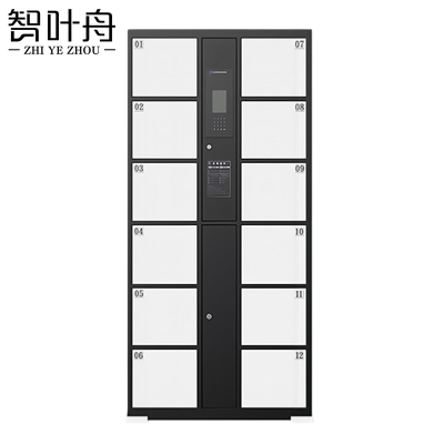 智叶舟智能储物柜人脸识别12门850*460*1800mm台