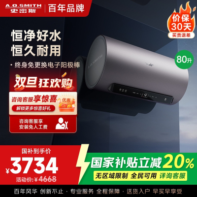 AO史密斯80升电热水器 国家补贴 金圭内胆 双棒分离速热 免换镁棒 免清洗 E80ED8