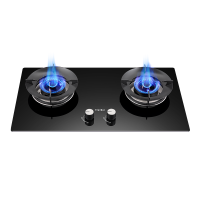 Fardior/法迪欧燃气灶JZY-2B302 台嵌两用液化气灶具5.0kW大火力家用燃气灶 一级能效