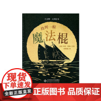 捡到一根魔法棍