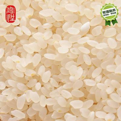 鸿陞 黄金胚芽米 10kg 袋