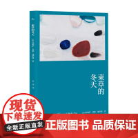 []束草的冬天 故事群岛 [法]埃莉萨·秀雅·迪萨潘 著 狄佳 译 罗伯特·瓦尔泽奖 法韩混血女作家首作 女性主义