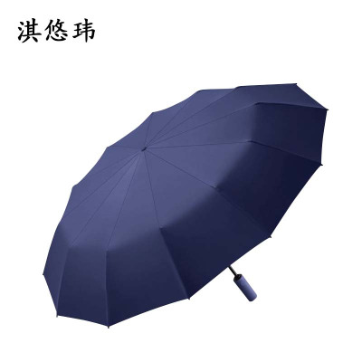 淇悠玮 60骨自动晴雨伞 QRY69 把