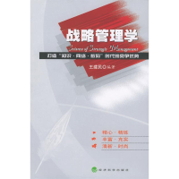 正版新书]战略管理学(打造知识网络数码时代的竞争优势)王建民97