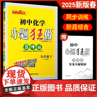 2025春新版恩波教育初中化学小题狂做 九年级下册巅峰版 HJ沪教版初三9年级下 同步复习训练阶段综合中考专项同步教材附