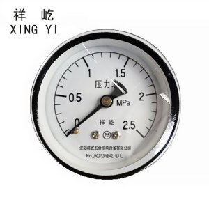 祥屹 压力表轴向检测定制型 Y40Z 块