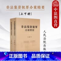 [正版]中法图 非法集资犯罪办案精要 上下册 非法集资犯罪案例分析裁判规则审判办案经验 办理非法集资犯罪案件指导参考书