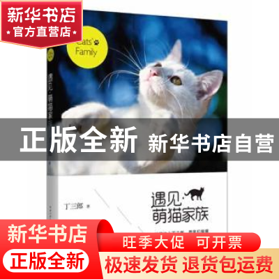 正版 遇见·萌猫家族 丁三郎著 长江文艺出版社 9787535470119 书
