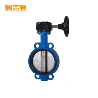 瑞吉君 涡轮对夹蝶阀 DN100 个