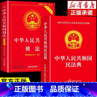[全套2册]民法典+刑法 [正版]2册 民法典+刑法 法律书籍全套中华人民共和国明法典及相关司法解释汇编大全实用版基础知