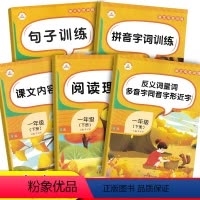 [正版]语文专项训练人教版一年级下册共5本小学阅读理解句子训练拼音字词训练课文内容填空反义词近义词多音字同音字形近字全