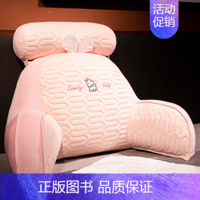 [乳胶冰丝凉席夹层材质外壳高克重] 大号靠垫+头枕[床头推荐][70×50×25厘米 独立内胆可拆洗] [正版]床头
